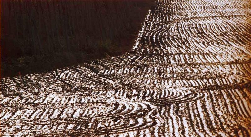 12lungo il fiume po.jpg